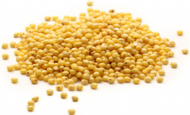 SEMILLAS MIJO 250GR